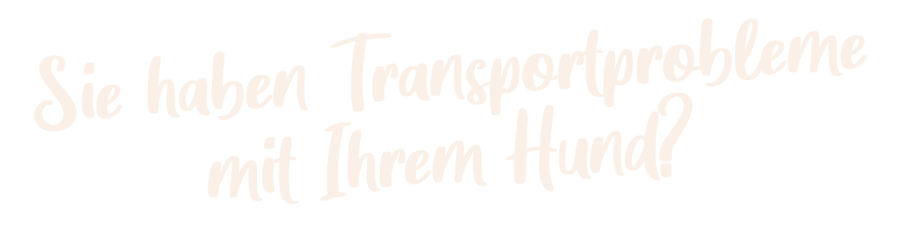 transportprobleme