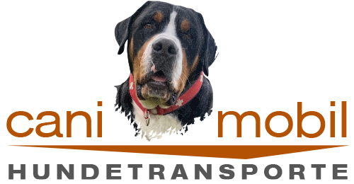 hundetransporte.com